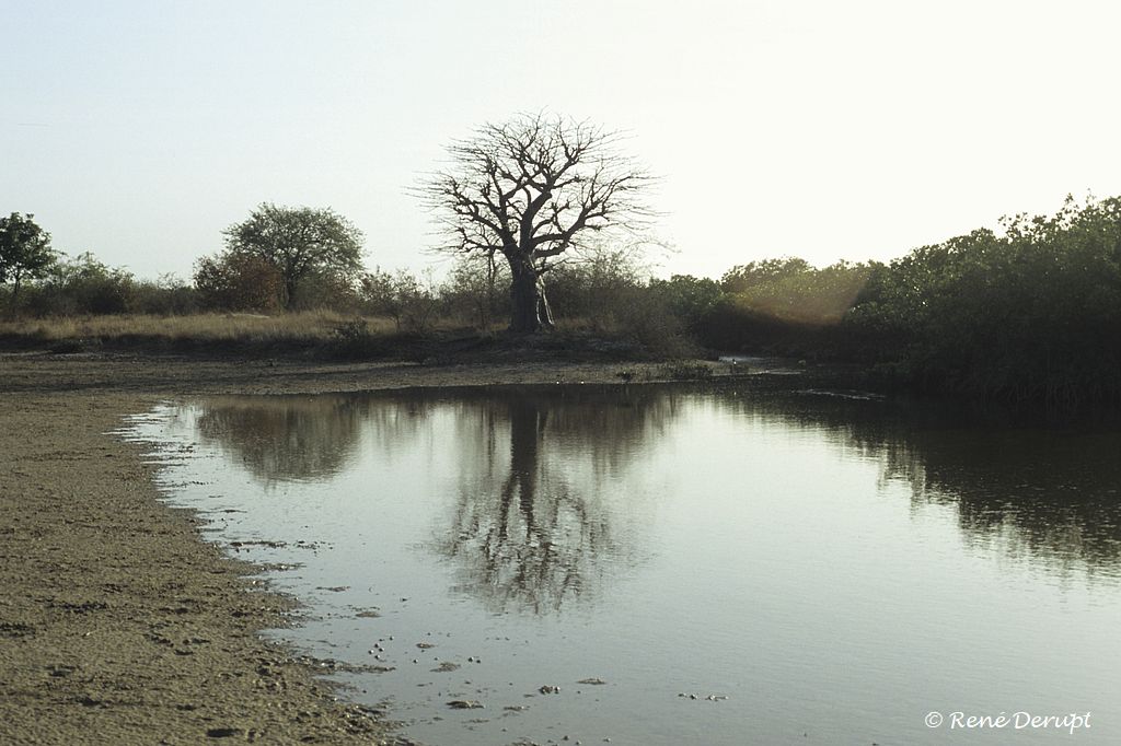 -Senegal-2004-12-025