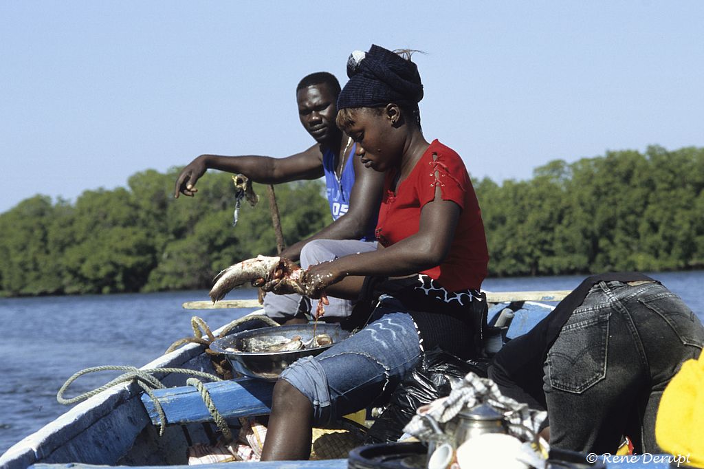 -Senegal-2004-12-046