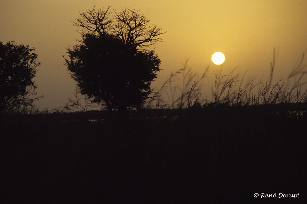 -Senegal-2004-12-049