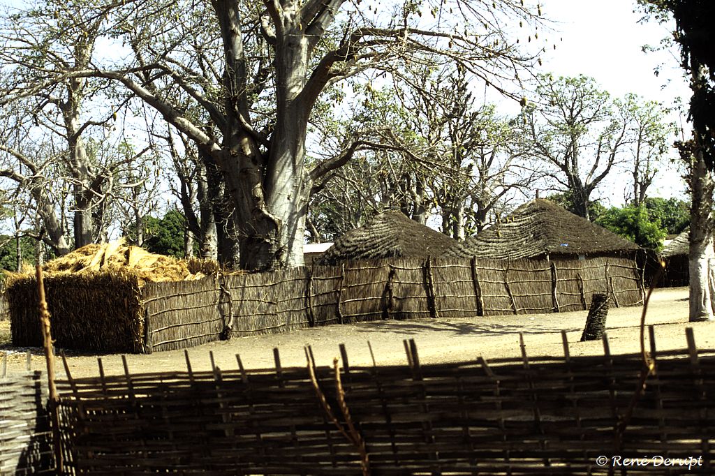 -Senegal-2004-12-051