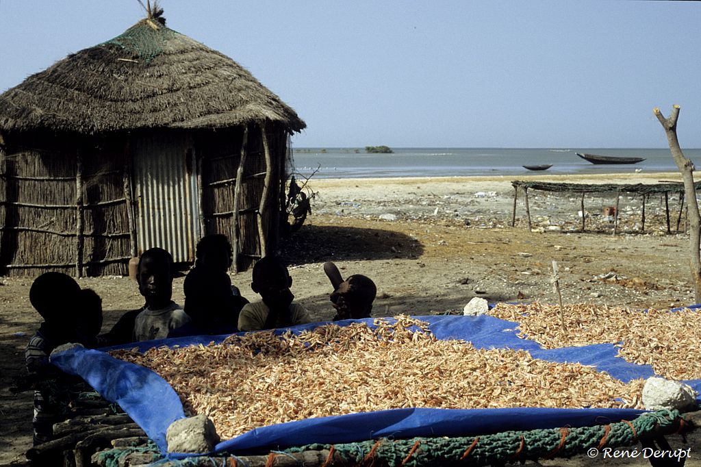 -Senegal-2004-12-089