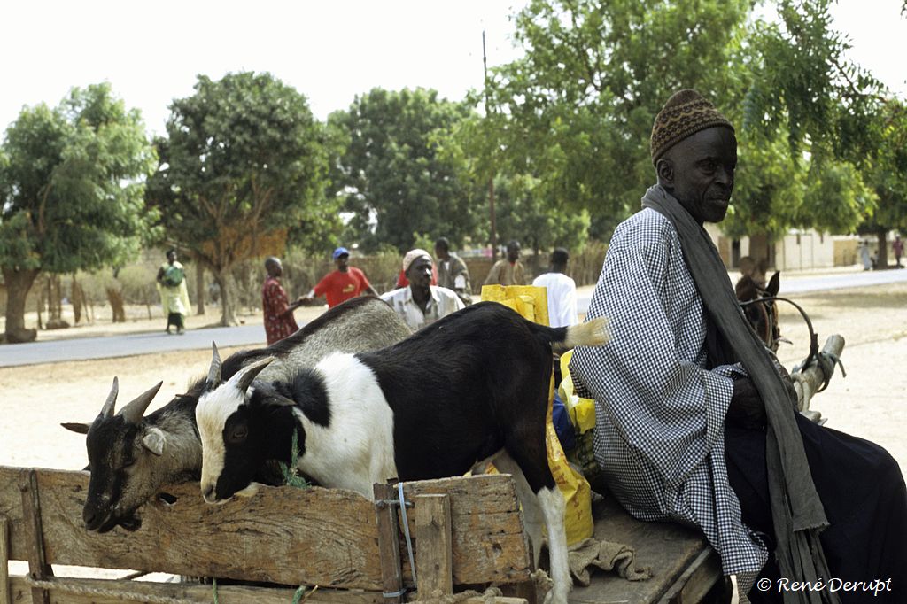 a-gens-Senegal-2004-12-020