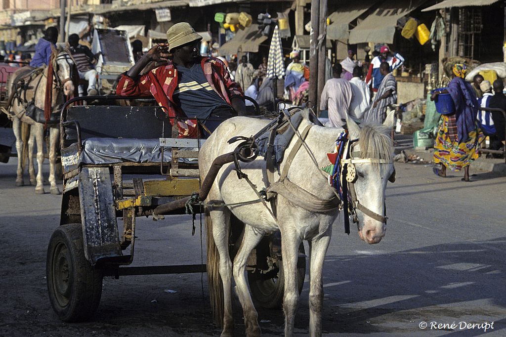 a-gens-Senegal-2004-12-136