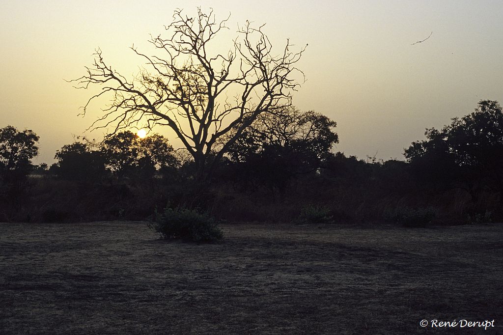a-paysage-Senegal-2004-12-066