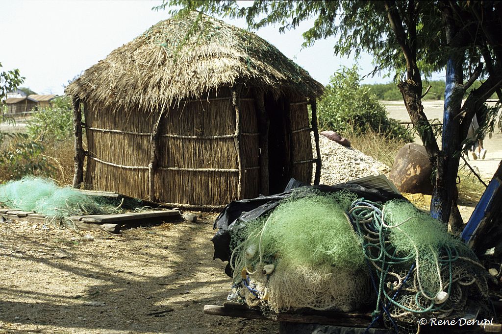 a-paysage-Senegal-2004-12-111