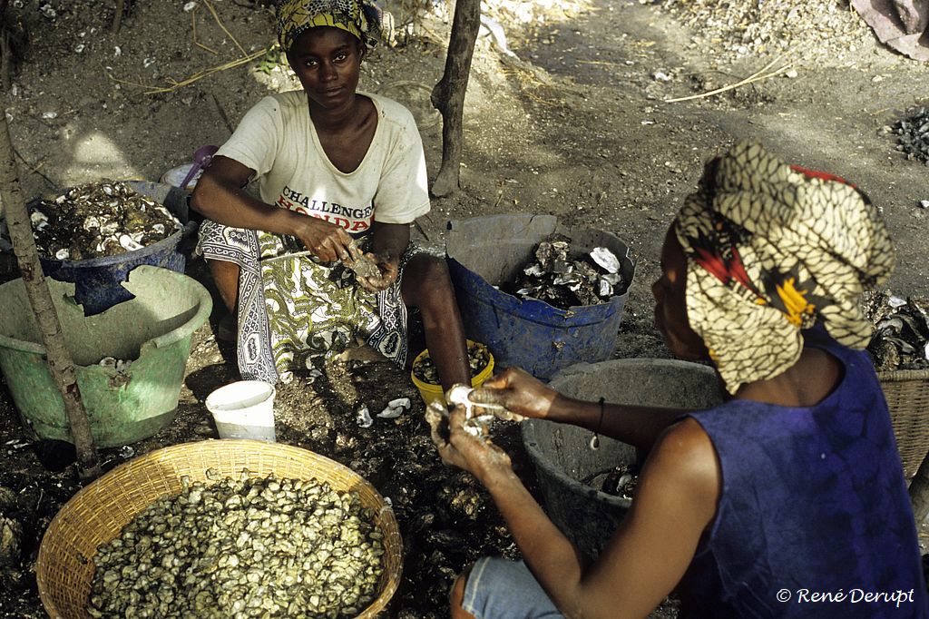 a-peche-Senegal-2004-12-085