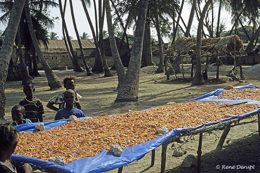 a-peche-Senegal-2004-12-088