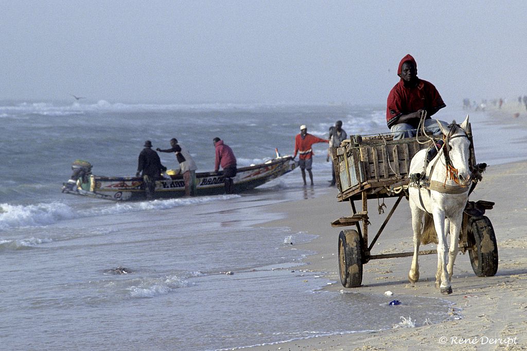 b-St-louis-Senegal-2004-12-145