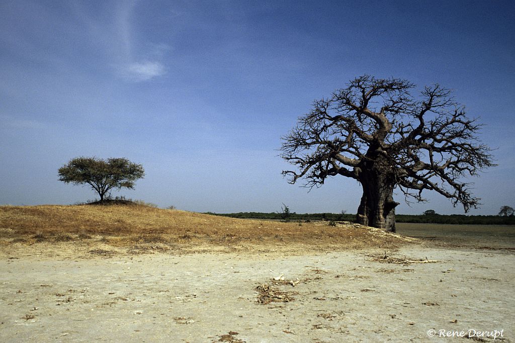 b-paysage-Senegal-2004-12-036