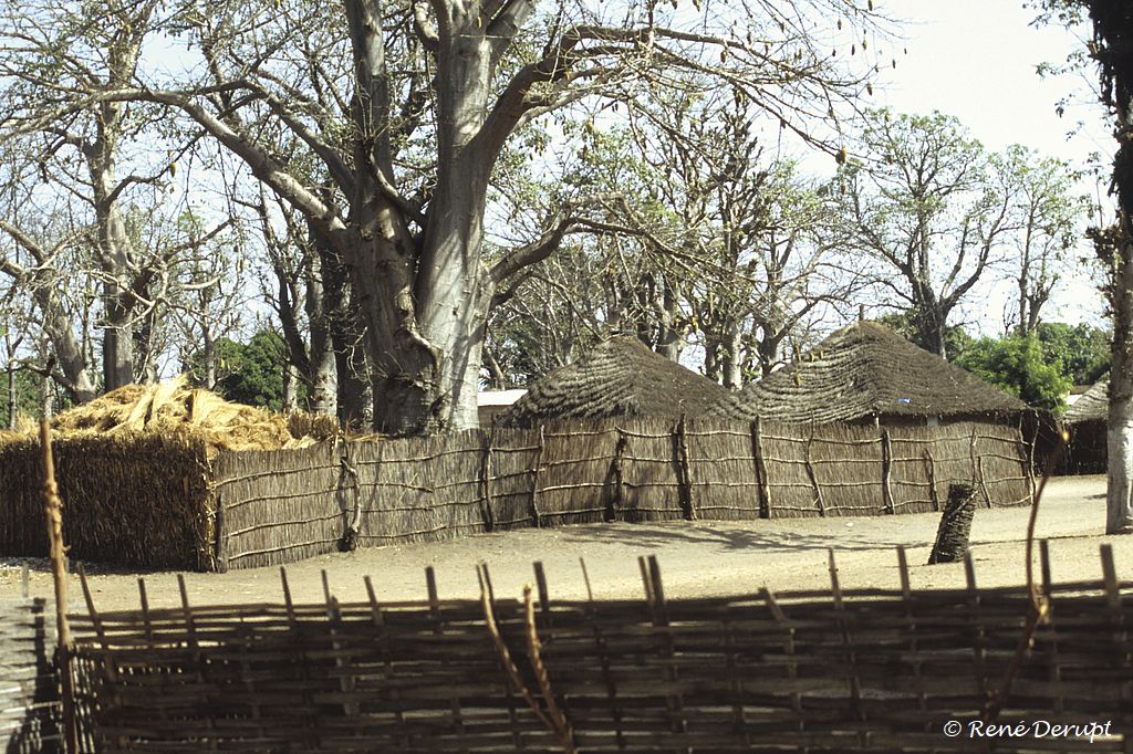 b-paysage-Senegal-2004-12-051