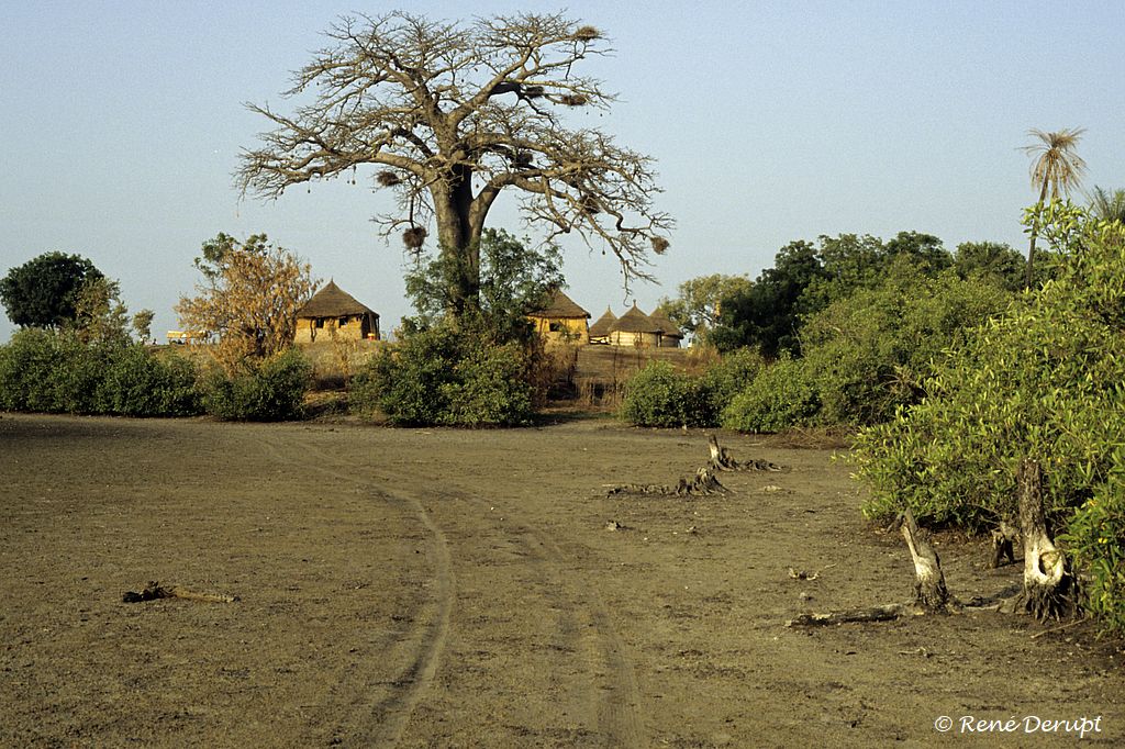 b-paysage-Senegal-2004-12-063