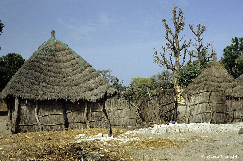 b-paysage-Senegal-2004-12-077