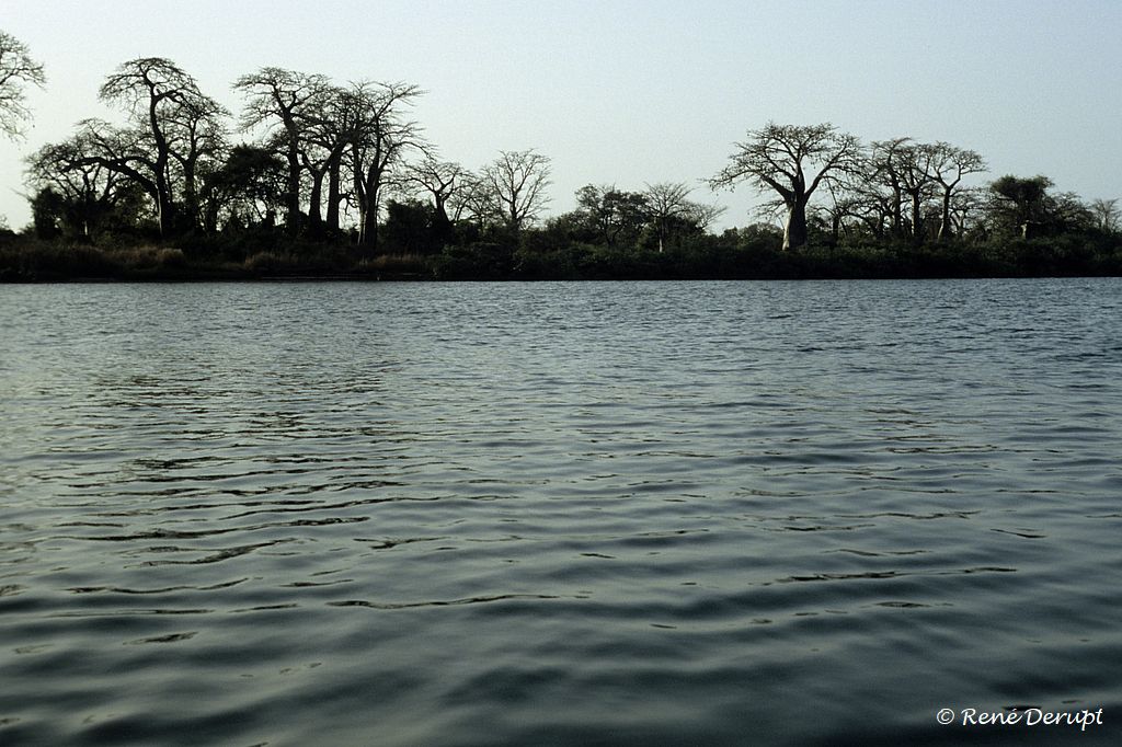 b-paysage-Senegal-2004-12-086