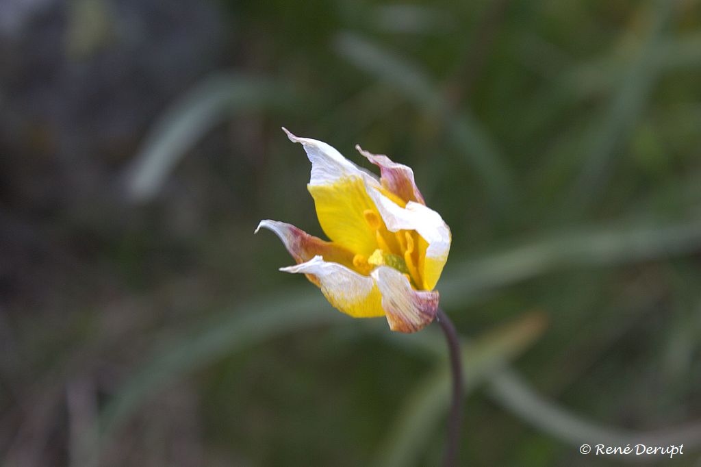 _MG_0920_1