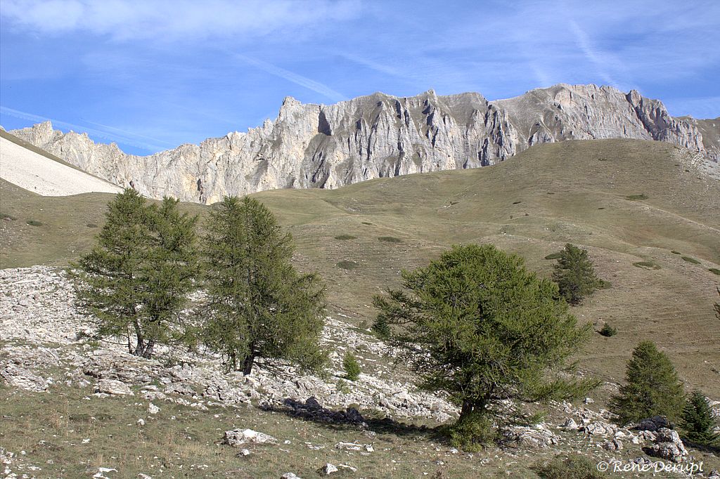 _MG_2162_1